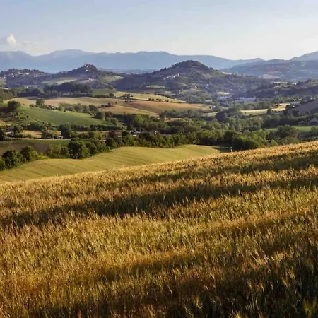 La Roverella *