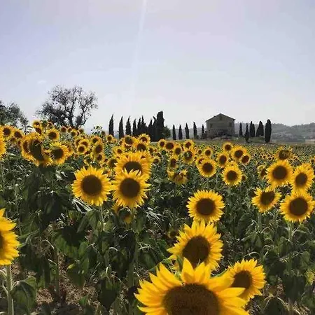 La Roverella Francavilla dʼEte