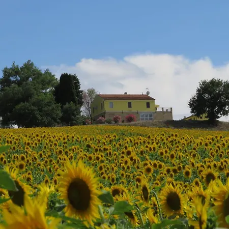 La Roverella