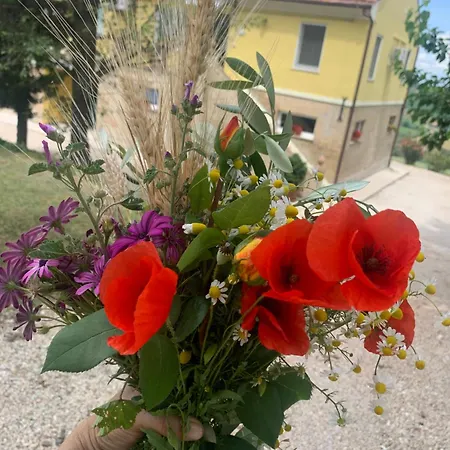 La Roverella *